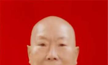 ������ɻ���������